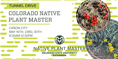 Imagem principal do evento Colorado Native Plant Master: Tunnel Drive in Canon City