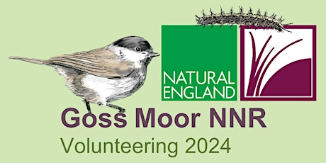 Goss Moor Volunteer Event - Spring Celebration Wildlife Walk