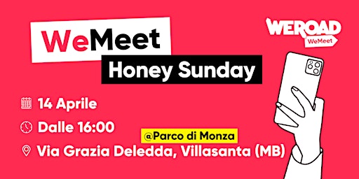 Primaire afbeelding van WeMeet | Honey Sunday