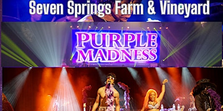 The Purple Madness! - Tribute to Prince! May 4 2024!