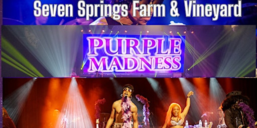 Primaire afbeelding van The Purple Madness! - Tribute to Prince! May 4 2024!