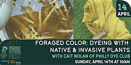 Foraged Color: Dyeing with native and invasive plants with Caitlin Nolan