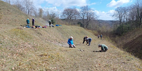 Volunteering @ Patten's Rock Quarry