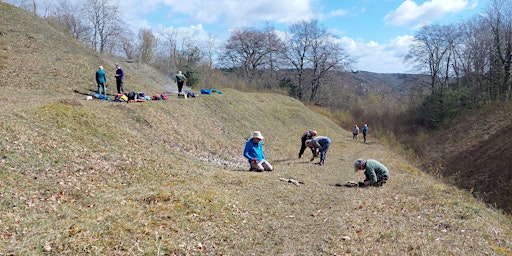 Primaire afbeelding van Volunteering @ Patten's Rock Quarry