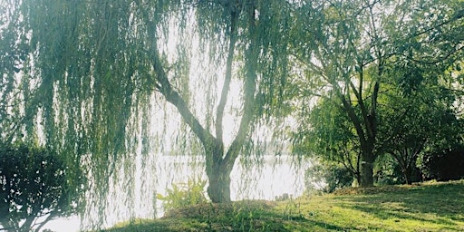 Hauptbild für Summer Solstice Sound Meditation