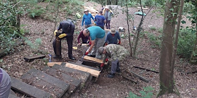 Hauptbild für Volunteering @ Captain's Coppice