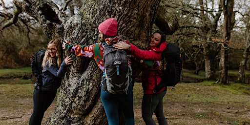 Primaire afbeelding van New Forest National Park 16km hike - Hampshire (Women only)