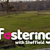 Logotipo da organização Sheffield Fostering Training and Development
