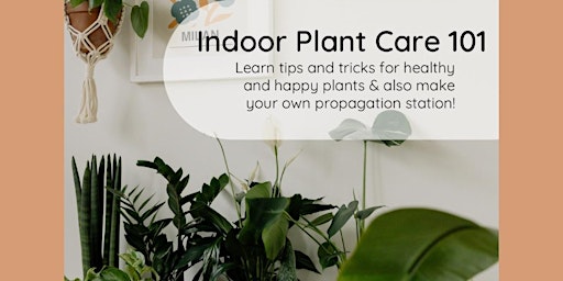 Imagem principal do evento Indoor Plant Care 101