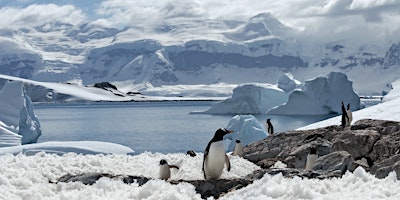 Polar Journeys: Through Ice and Time primary image