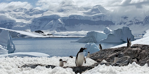 Imagem principal de Polar Journeys: Through Ice and Time
