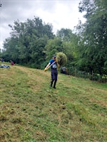 Hauptbild für Volunteering @ Shakespeare Meadow