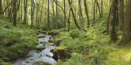 Embodied Ecological Impact in the Built Environment workshop