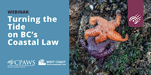 Imagem principal do evento Turning the Tide on BC's Coastal Law