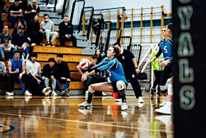 Primaire afbeelding van Sr Girls  High School Volleyball Tournament