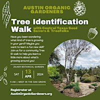 Imagem principal do evento Tree Identificaton Walk
