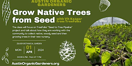 Grow Native Trees from Seed