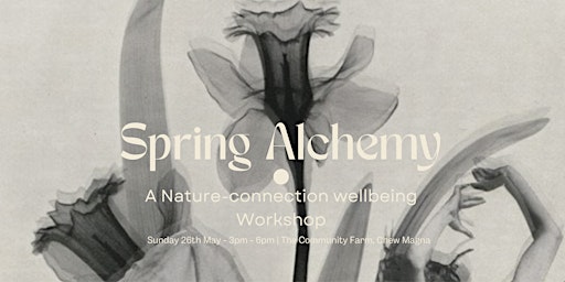 Image principale de Spring Alchemy - A Nature Connection Wellbeing Workshop