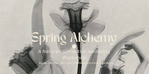 Spring Alchemy - A Nature Connection Wellbeing Workshop