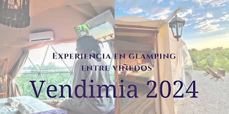 Experiencia en Glampings entre viñedos, vendimia 2024