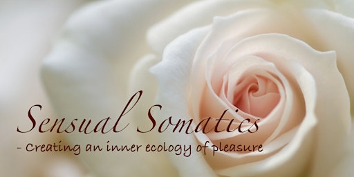 Sensual Somatics primary image