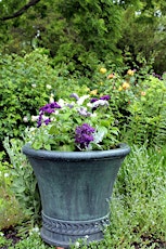 Make a Beautiful Spring Container