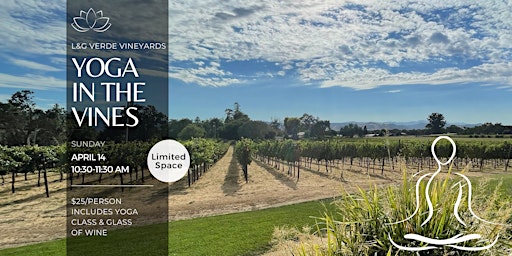 Yoga in the Vines primary image