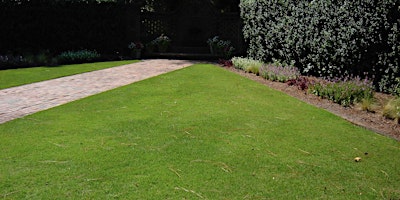Imagem principal do evento Lawn Maintenance Best Practices