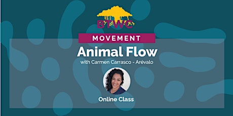 Animal Flow