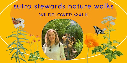 Spring Mount Sutro Nature Walks: Wildflower and Botanical Walk primary image