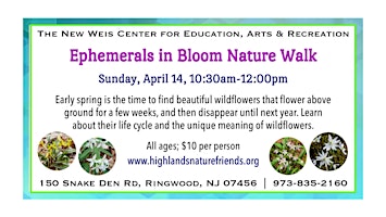 Ephemerals in Bloom Nature Walk primary image