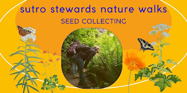 Spring Mount Sutro Nature Walks: Wildflower and Seed Collection Walk