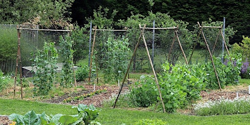 Create a Vegetable Garden Trellis primary image