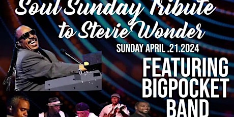 SOUL SUNDAY Tribute to  STEVIE WONDER Featuring BigPocket Band