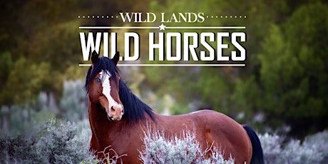 Wild Lands Wild Horses - Twin Peaks Screening at Rutgers Cinema