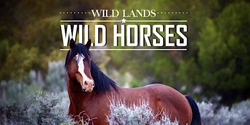 Image principale de Wild Lands Wild Horses - Twin Peaks Screening at Rutgers Cinema