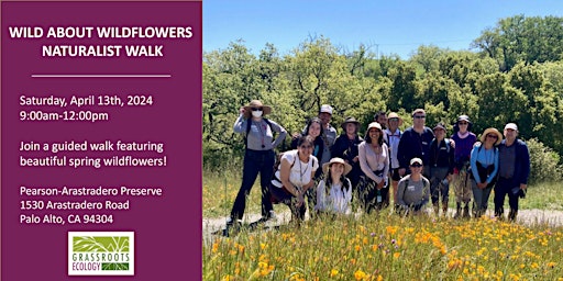 Imagem principal do evento Wild about Wildflowers - Naturalist Walk at Pearson-Arastradero Preserve