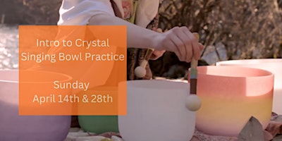 Image principale de Intro to Crystal Singing Bowl