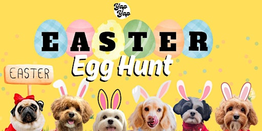 Easter Egg Hunt with your dog primary image