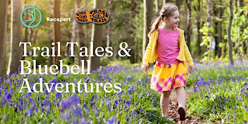 Trail Tales & Bluebell Adventures: Stone Bridge Stroll primary image