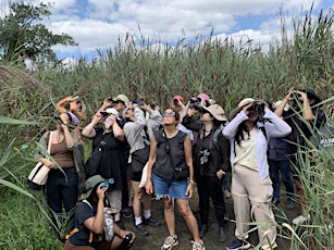 Live Guided Birding Tour at Governors Island  Park