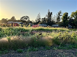 Date Night in the Flower Field primary image