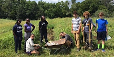 Fox Haven Farm Volunteer Orientation primary image