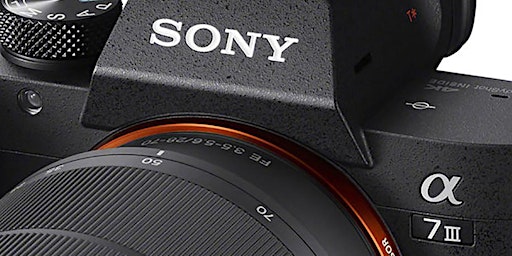 Sony 101 primary image