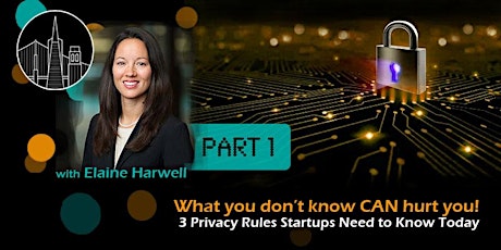 Data Privacy Laws Startups Need to Know - What You Don’t Know CAN Hurt You!