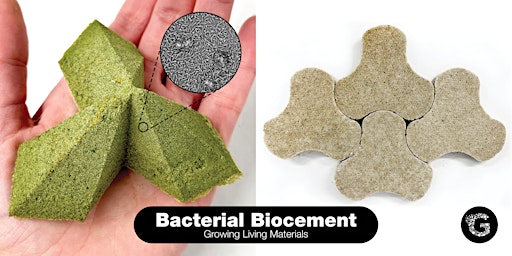 Bacterial Biocement: Growing Living Materials  primärbild