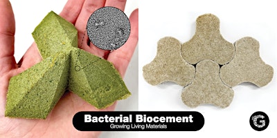 Imagem principal de Bacterial Biocement: Growing Living Materials
