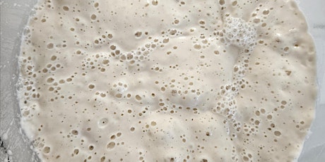 How to Create & Maintain a Sourdough Starter