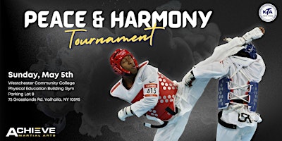 Peace and Harmony Tournament primary image