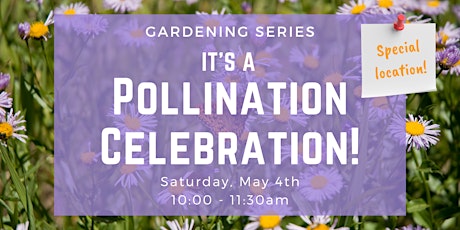 Gardening Series: It's a Pollination Celebration!